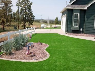 Artificial Grass Photos: Fake Pet Turf East Hemet California Landscape